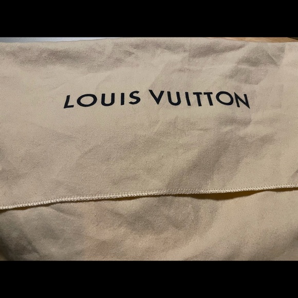 Louis Vuitton Palm Springs Mini main image 4